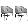 Image de vidaXL Chaises de jardin lot de 2 Anthracite Rotin PE