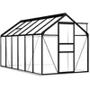 Image de vidaXL Serre avec cadre de base Anthracite Aluminium 7,03 m²
