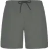 Image de Protest Maillot de bain Faster Homme Gris Vert M