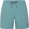 Image de Protest Short De Bain Davey