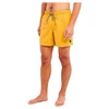 Image de Protest Short De Bain Faster