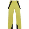 Image de Protest Hommes Ski and snowboard trousers OWENS 10 g,10 K,PFC Free Splitpea Green S