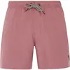 Image de Protest Short De Bain Davey