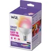 Image de Ampoule LED connectée WIZ Couleur E27 G95 Globe 75W
