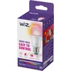 Image de Ampoule LED connectée WIZ E27 Couleur 100W