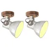 Image de vidaXL Lampe murale industrielle/plafonnier 2 pcs Argenté 20x25 cm E27
