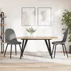Image de vidaXL Chaises à manger lot de 2 Gris clair Velours