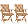 Image de vidaXL Chaises de jardin pliables lot de 2 Bois de teck massif