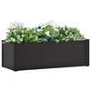 Image de vidaXL Lit surélevé de jardin système arrosage Anthracite 100x43x33 cm