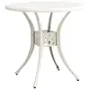 Image de vidaXL Table de jardin Blanc 78x78x72 cm Aluminium coulé