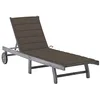 Image de vidaXL Chaise longue de jardin avec coussin Gris Bois d'acacia solide