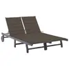 Image de vidaXL Chaise longue de jardin 2 places avec coussin Gris Acacia
