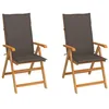 Image de vidaXL Chaises pliantes (lot de 2) avec coussins taupe,