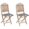 Image de vidaXL Chaises pliantes (lot de 2) avec coussins en bambou
