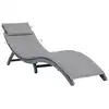 Image de vidaXL Chaise longue avec coussin Gris Bois d'acacia solide