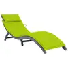 Image de vidaXL Chaise longue avec coussin Gris Bois d'acacia solide