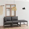 Image de vidaXL Salon de jardin 3 pcs avec coussins Résine tressée Gris