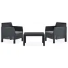 Image de vidaXL Salon de jardin 3 pcs avec coussins PP Rotin Anthracite