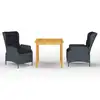 Image de vidaXL Ensemble à manger de jardin 3 pcs Gris foncé