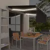 Image de vidaXL Auvent manuel rétractable et store et LED 4x3 m Anthracite