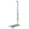 Image de vidaXL Douche de jardin avec base gris 225 cm Acier inoxydable