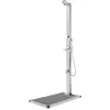 Image de vidaXL Douche de jardin avec base gris 225 cm Acier inoxydable