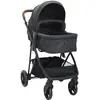 Image de vidaXL Poussette pour bébé 2-en-1 Anthracite et noir Acier