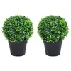 Image de vidaXL Plantes de buis artificiel 2 pcs avec pots Boule Vert 27 cm