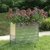 Image de vidaXL Lit surélevé de jardin 100x40x77 cm Acier galvanisé Argenté