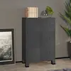 Image de vidaXL Coffre de rangement industriel Anthracite 75x40x115 cm Métal