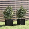 Image de vidaXL Jardinières d'extérieur 2 pcs Noir 31x31x31 cm Bois de pin