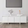 Image de vidaXL Meuble TV Blanc 120x30x40,5 cm Bois d'ingénierie