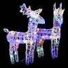 Image de vidaXL Rennes de Noël 2 pcs 80 LED Multicolore Acrylique