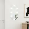 Image de vidaXL Miroir avec éclairage LED 80x40 cm Verre Ovale