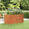 Image de vidaXL Lit surélevé de jardin rouillé 160x80x77 cm acier corten