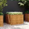 Image de vidaXL Lit surélevé de jardin 100x100x69 cm acier corten