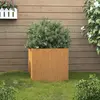 Image de vidaXL Jardinière 42x40x39 cm acier corten