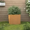 Image de vidaXL Jardinière 49x47x46 cm acier corten
