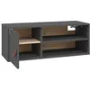Image de vidaXL Wandkast 80x30x30 cm massief grenenhout grijs
