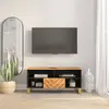 Image de vidaXL Meuble TV marron et noir 100x33,5x46 cm bois massif de manguier