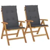 Image de vidaXL Fauteuils pliants inclinables avec coussins, 2 pièces,