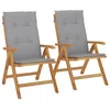 Image de vidaXL Fauteuils pliants inclinables avec coussins, 2 pièces,