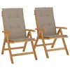 Image de vidaXL Fauteuils pliants inclinables avec coussins, 2 pièces,