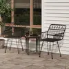 Image de vidaXL Chaises de jardin lot de 2 avec accoudoir Noir 56x64x80 cm