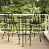 Image de vidaXL Tabourets de bar lot de 2 Noir Résine tressée et acier