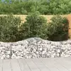 Image de vidaXL Paniers à gabions arqués 2 pcs 200x50x60/80 cm Fer galvanisé