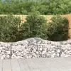 Image de vidaXL Paniers à gabions arqués 15 pcs 200x50x60/80 cm fer galvanisé