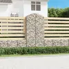 Image de vidaXL Panier de gabions arqué 100x50x200/220 cm Fer galvanisé