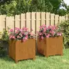 Image de vidaXL Jardinières avec pieds 2 pcs Rouillé 30x30x30 cm Acier corten