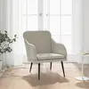 Image de vidaXL Fauteuil Gris clair 63x76x80 cm Velours